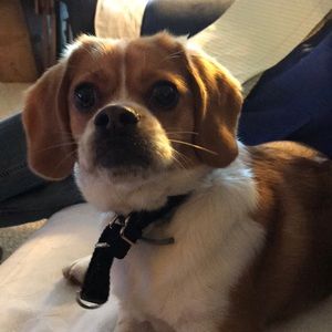 Meet your Posher, Carole